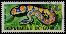 GUINEA REPUBLIC 466 - Ball Python "Python regius" (pc32402)