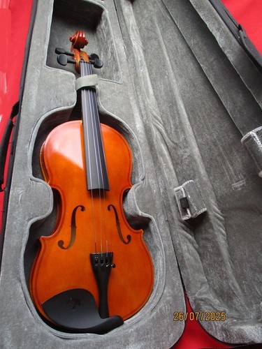 Violon dans son étui en - ,