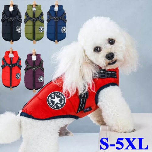 Gilet pour chien winter - chien,