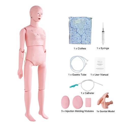 Female male manikin model - manikin, with