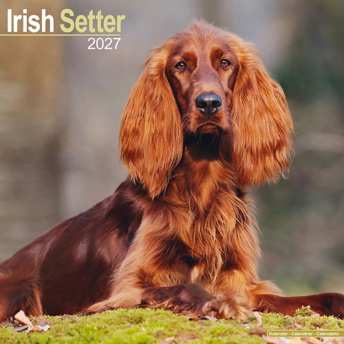 Calendrier 2027 setter - 2027,