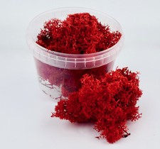 WWG - Lichen Apocalyptique –