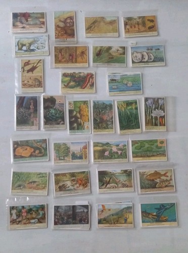 Liebig 174 chromos 29 series - liebig,