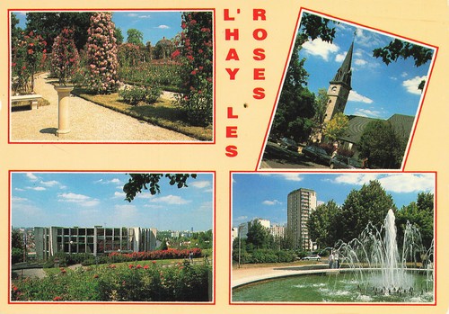 Hay les roses - l,