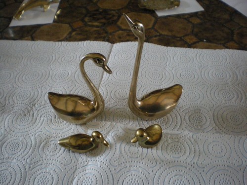 Ensemble cygnes canards - ensemble, de