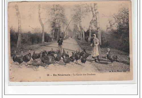 Nivernais la garde des - -,