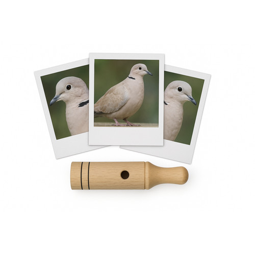 Appeau oiseau tourterelle - appeau,