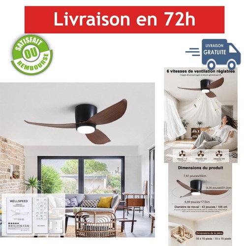 Ventilateur plafond - ventilateur,