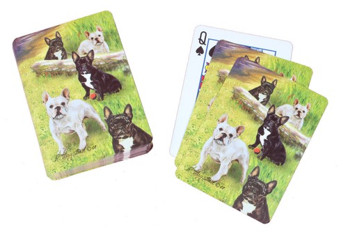 New bouledogue francais - new,