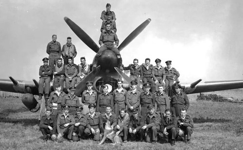 Ww2 pilote typhoon raf - pilote, rcaf