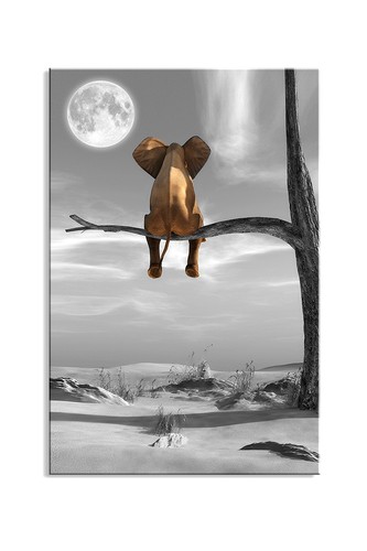 Images sur toile 60 cm - sur,