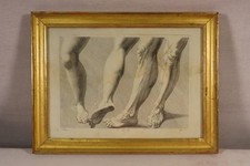 ANCIENNE GRAVURE ANATOMIQUE JAMBES PIEDS GENOUX EPOQUE EMPIRE CADRE DORE