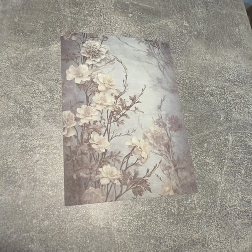 Feuille papier scrapbooking - feuille,
