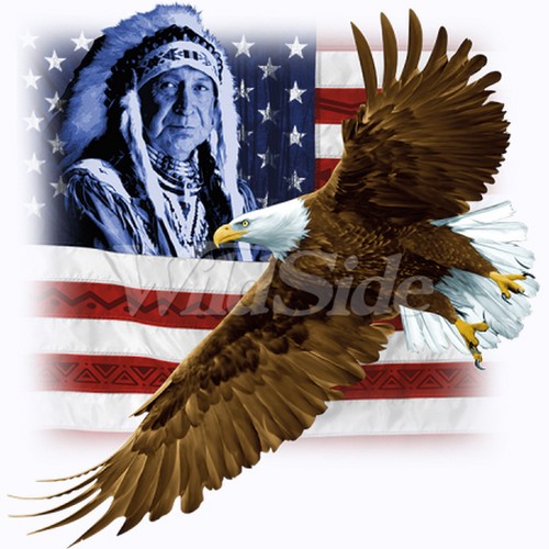 Indian flag eagle - &,
