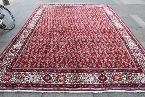 Tapis oriental laine - laine, rouge