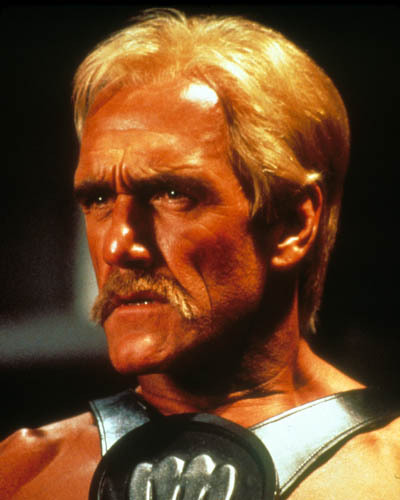 Terry hulk hogan 1007973 - terry, [1007973]