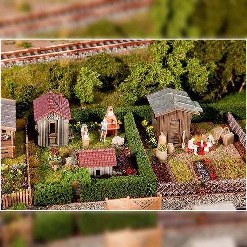 Jardins potager avec - 2,