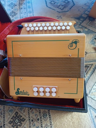 Accordéon diatonique stelvio - accordéon,