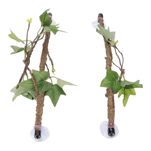 Reptile corner branch - corner,