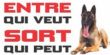 Plaque Attention au chien