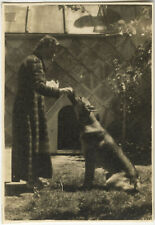 ANTIQUE PHOTO - VINTAGE SNAPSHOT - CHIEN GERMAN BERGER ANIMAL - DOG 3