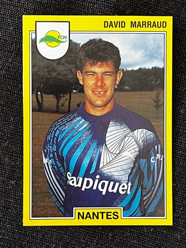 Vignette sticker panini foot - panini,