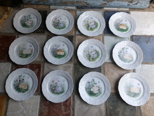 Assiettes fromage - 12,