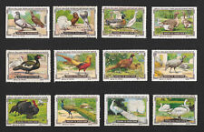 POSTER STAMPS BACKYARD BIRDS