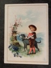 CHROME CHICOREE A L'ECOLIERE ALPHONSE LEROUX BOY DOG NEST BOX - 57474