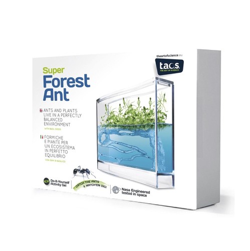 Kit super fourmiliere forest - super,