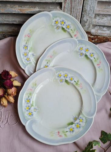 Anciennes assiettes plates - anciennes,