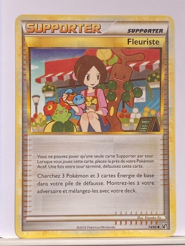 Fleuriste hgss - 74/90,