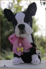 Boston Terrier, chien au