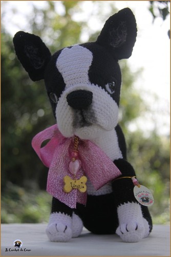 Boston terrier chien au - boston, terrier,