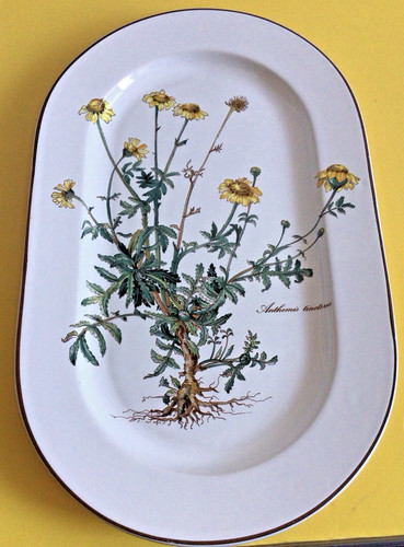 Plat villeroy boch - &,