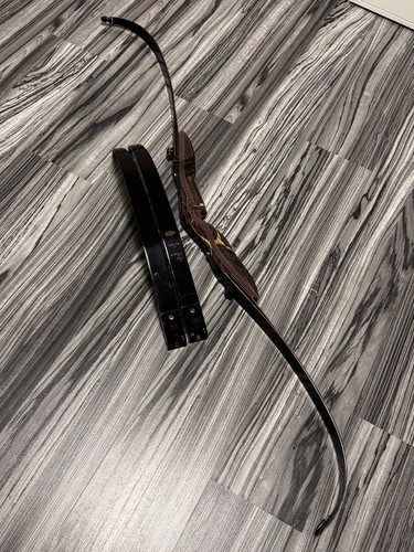 Recurve bow sky - recurve, hawk