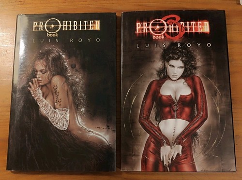 Lot artbooks luis royo - artbooks,