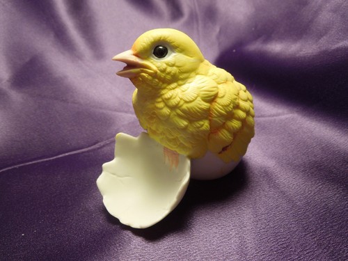 Canary andrea chick - canary,