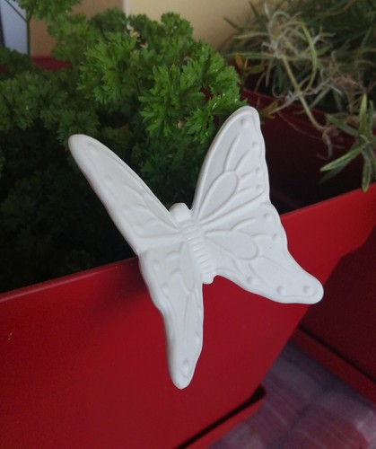 Papillon platre pour - papillon, en