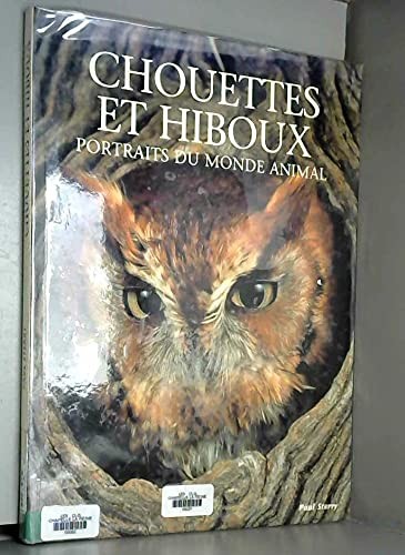 Chouettes hiboux portraits - chouettes,