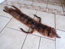 Véritable fourrure en col de