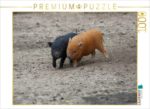 Calvendo puzzle playful - puzzle,