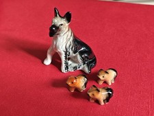 Chien Loup et sa portée De 3