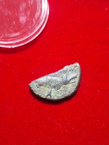 Demi dupondius nîmes - de,