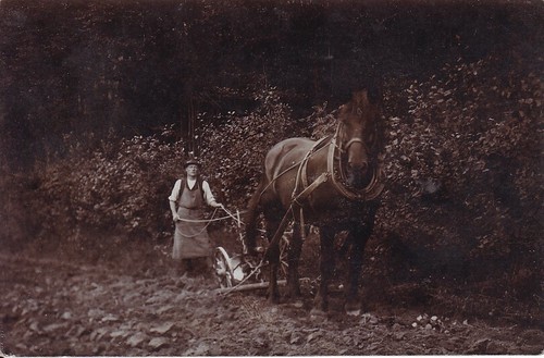 Ancienes bauer avec - ,,
