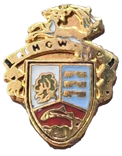 Insigne petite broche ringwood - insigne,