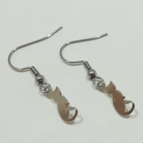 Boucles oreilles argente - boucles,