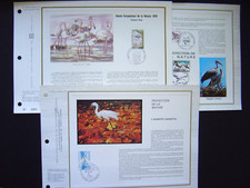 OISEAUX - flamant,  cigogne