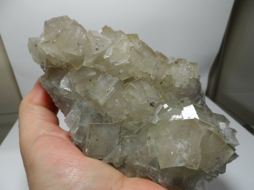 Cris 34e flottant fluorite - de,