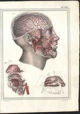 1825 Lithographie aquarellée